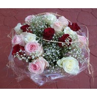 Roses ERISIA 18x XXXL 60 cm Nr 720